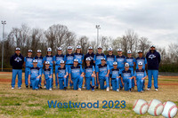 Westwood Baseball proofs  not edited