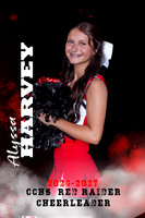 alyssa harvey 2 poster
