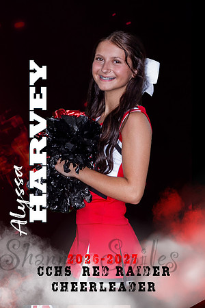 alyssa harvey 2 poster