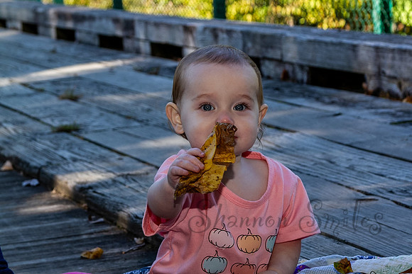 IMG_2526