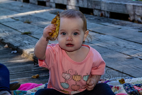 IMG_2528